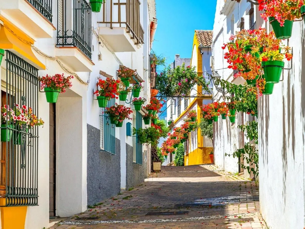 Spectacular 3 Bedroom Penthouse Apartment Casares